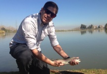 Pescando en la cuidad