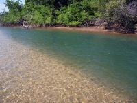 Foto de pesca con mosca