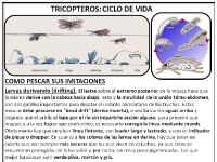 Foto de pesca con mosca