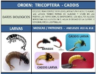 Foto de pesca con mosca