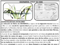 Foto de pesca con mosca