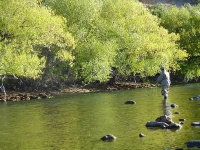 Foto de pesca con mosca