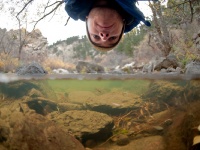 Fly fishing picture