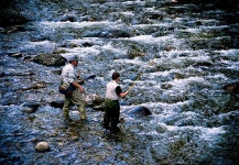 Tips de pesca