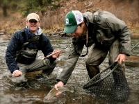 Fly fishing picture