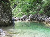 With fly rod through the beautiful gorge "Iški vintgar" 