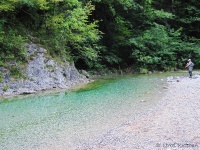 With fly rod through the beautiful gorge "Iški vintgar" 
