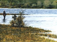 Fly fishing picture
