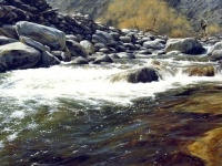 Fly fishing picture