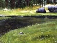 Fly fishing picture