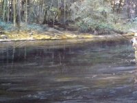 Fly fishing picture
