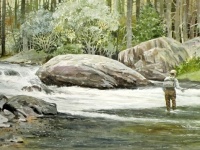 Fly fishing picture