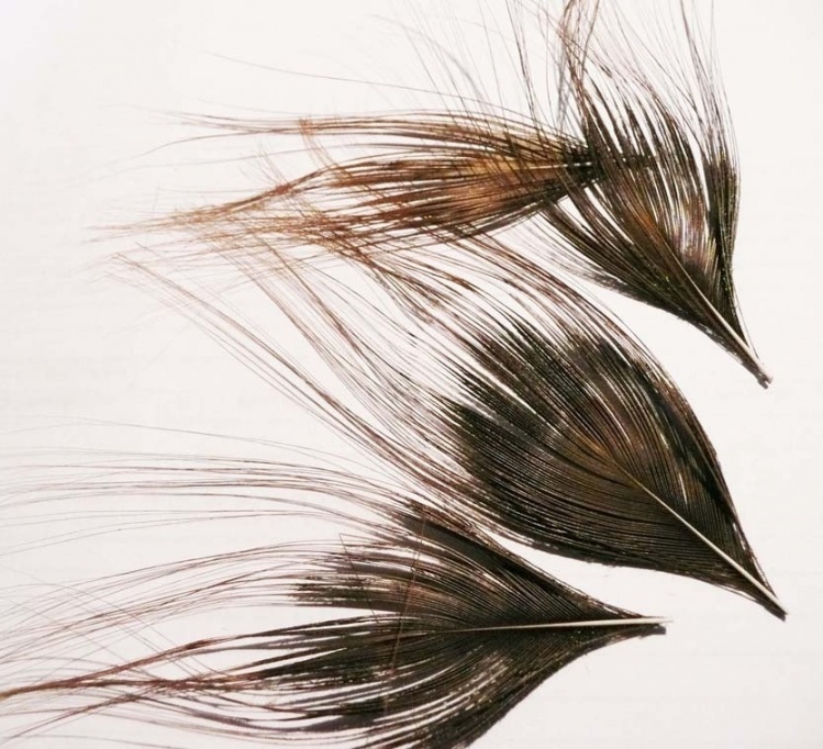 Ojos de pelo real pelados en cinco minutos y sin desarmar la pluma
