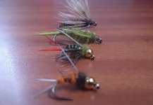 Cristian Pinilla 's Fly Image – Fly dreamers 