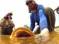 Fly fishing picture
