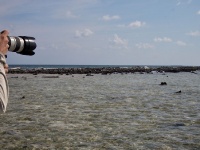 Fly fishing picture