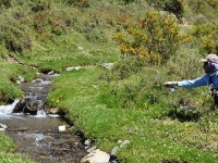 Foto de pesca con mosca