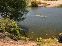 Foto de pesca con mosca