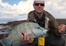 Fly-fishing Photo of Napoleon Wrasse or Humphead shared by Greg Rieben – Fly dreamers 