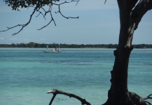 Barracuda Fly-fishing Situation – D.R. Brown shared this Impressive Image in Fly dreamers 