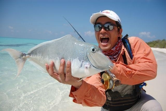 Trigger fish
