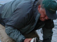 Fly fishing picture