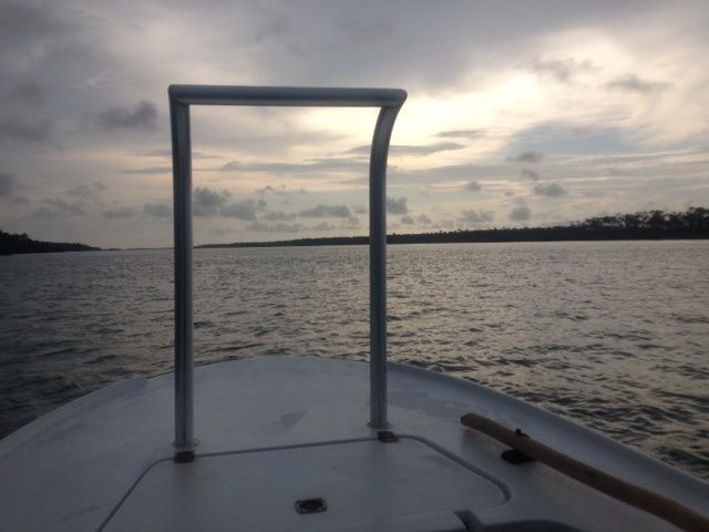 Primer reporte...un novato en el saltwater