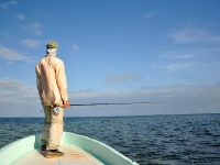 Fly fishing picture