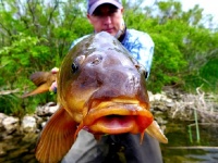 Fly fishing picture