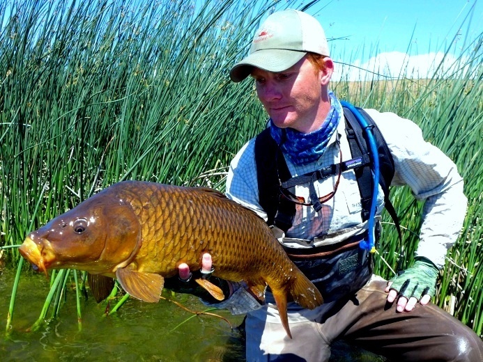 Carp Fly Fishing - A Talk with Expert Dan Frasier