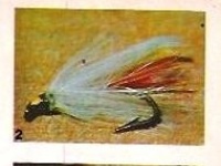 Foto de pesca con mosca