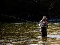 Fly fishing picture