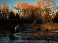 Fly fishing picture