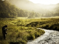 Fly fishing picture