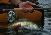  Foto de Pesca con Mosca de Lucioperca - Walleye por Edu Cesari – Fly dreamers 