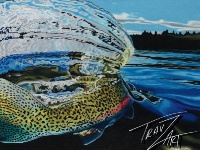 Fly fishing picture