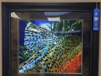 Fly fishing picture