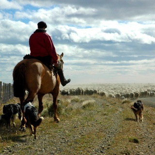 Gaucho - Maria Behety Lodge - Rio Grande - Argentina