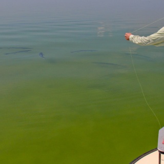 Foto de pesca con mosca