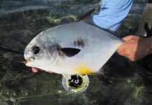 Permit´s en Honduras