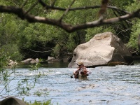 Foto de pesca con mosca