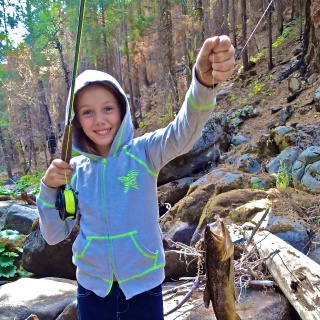 First trout on a fly rod while fly fishing in Yosemite with Yosemite Fly  Fishing Guide