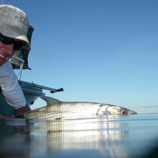 Fly fishing picture