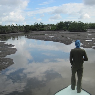 Fly fishing picture