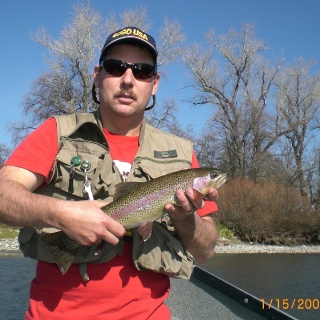 Sacramento River Rainbow 