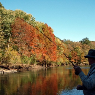 Fly fishing picture
