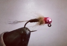 Cody Burgdorff 's Fly for Rainbow trout -  Photo – Fly dreamers 
