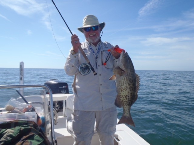 Shallow Water Grouper Gulf of Mexico, Florida