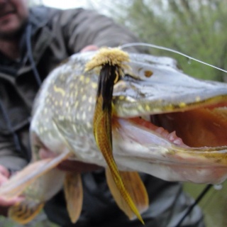 Fly fishing picture