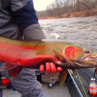 Foto de pesca con mosca